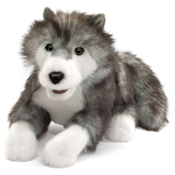 Polarwolf / Timber Wolf