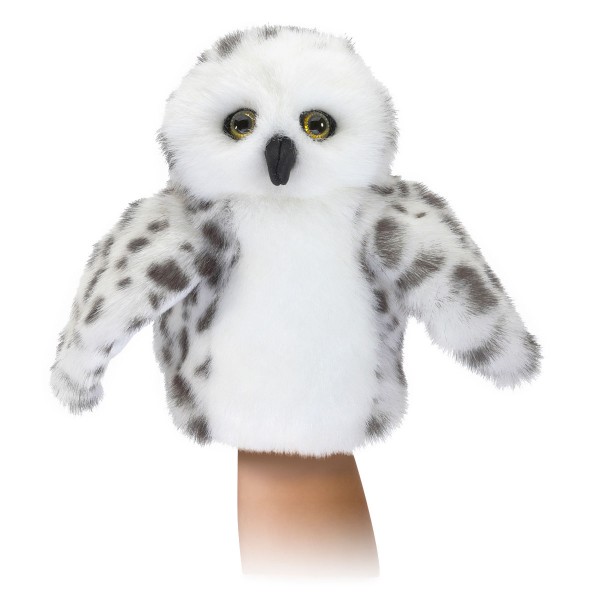 Kleine Schneeeule / Little Snowy Owl